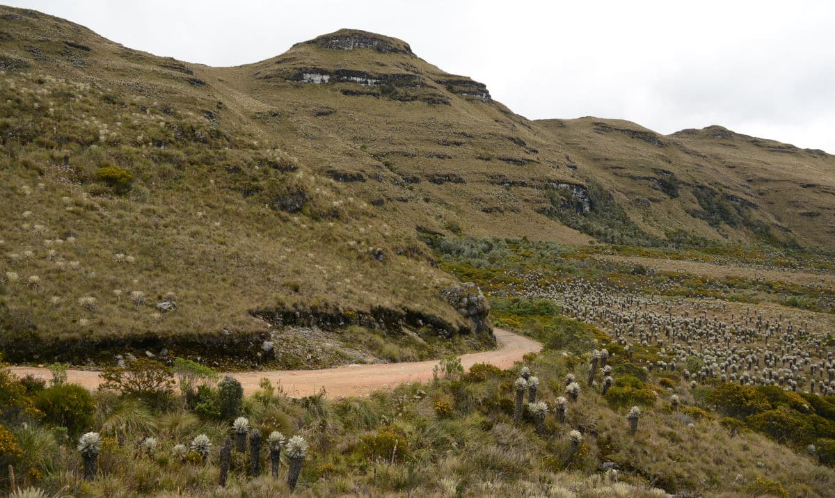 Dirt mountain top